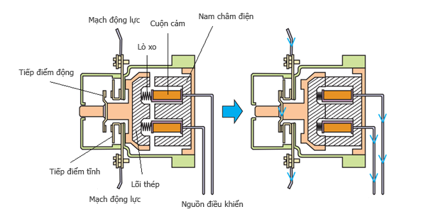 Contactor là gì? Cấu tạo và nguyên lý hoạt động của thiết bị