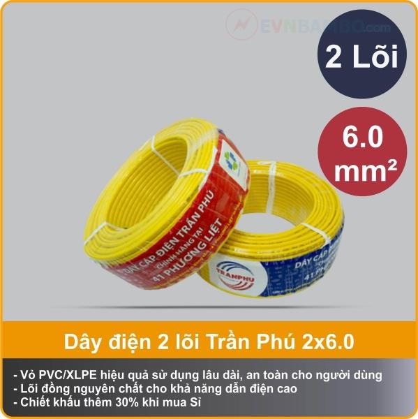 Cáp điện Trần Phú 2x6: ứng dụng, phân loại và báo giá